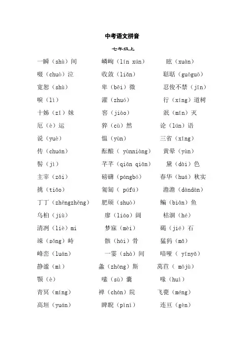 中考语文拼音(答案)
