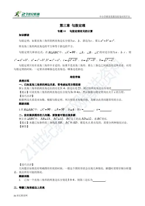 专题10 勾股定理有关的计算（含答案）