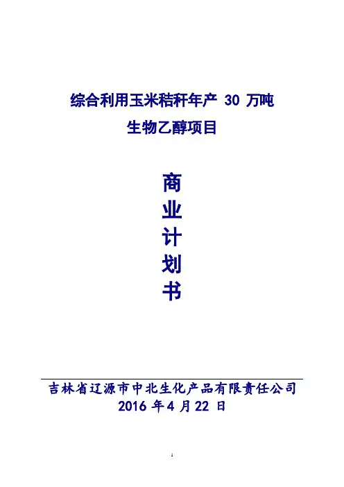 综合利用玉米秸秆年产30万吨生物乙醇项目_创业资料_商业计划书_投资计划书_doc可编辑版