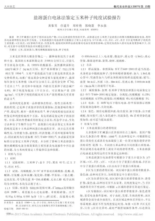 盐溶蛋白电泳法鉴定玉米种子纯度试验报告_黄象男