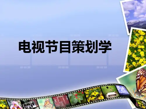 电视新闻节目广告策划案.pptx
