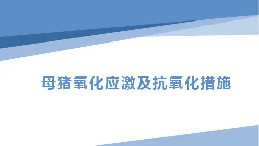 母猪氧化应激及抗氧化措施