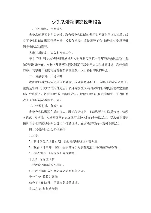 小学少先队活动情况说明报告