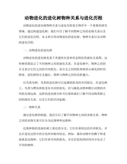 动物进化的进化树物种关系与进化历程