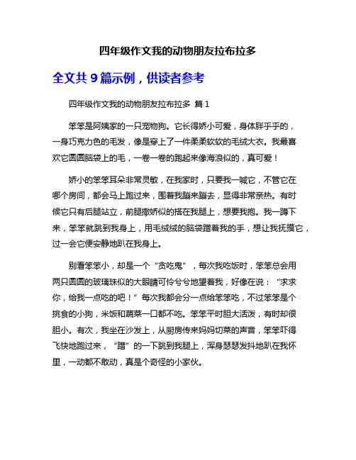四年级作文我的动物朋友拉布拉多