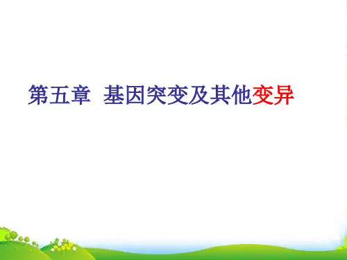 人教版高中生物必修二课件：第5章 第1节 基因突变和基因重组35张ppt