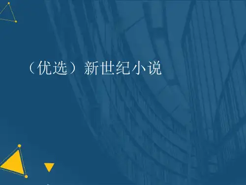 (优选)新世纪小说