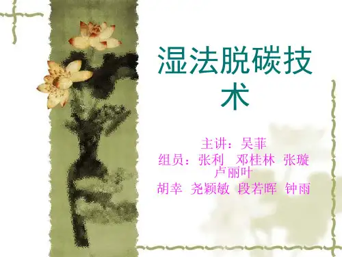 湿法脱碳技术