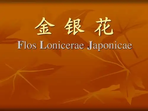 金 银 花
