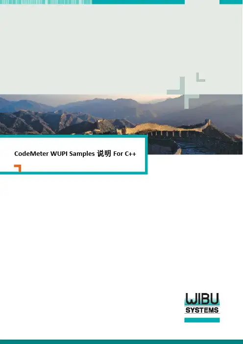 威步软件保护防盗版硬件加密狗CodeMeter WUPI Samples说明For C++