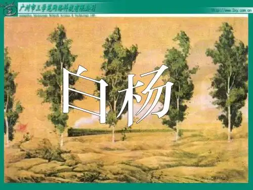 人教新课标版小学语文五年级下册第三课《白杨》PPT课件