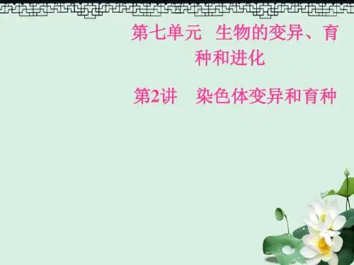 2019版高考生物总复习第七单元生物的变异育种和进化第2讲染色体变异和育种课件
