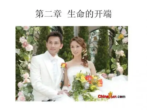 第二章  胎儿发育