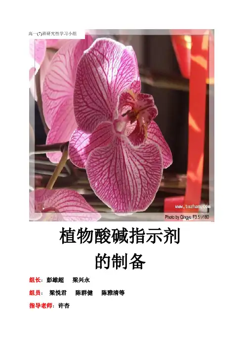 植物酸碱指示剂(科学小论文)