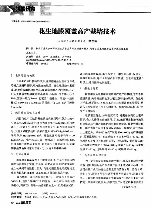 花生地膜覆盖高产栽培技术