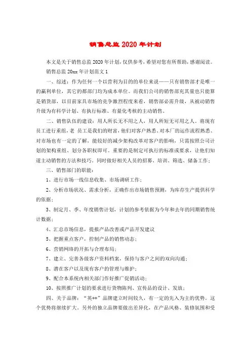 销售总监2020年计划