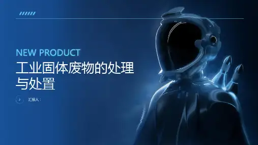 工业固体废物的处理与处置