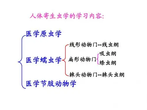 线、蛔、鞭虫