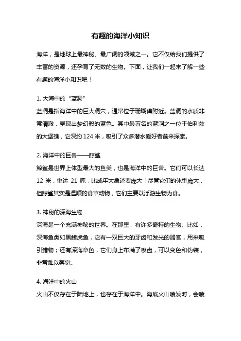 有趣的海洋小知识
