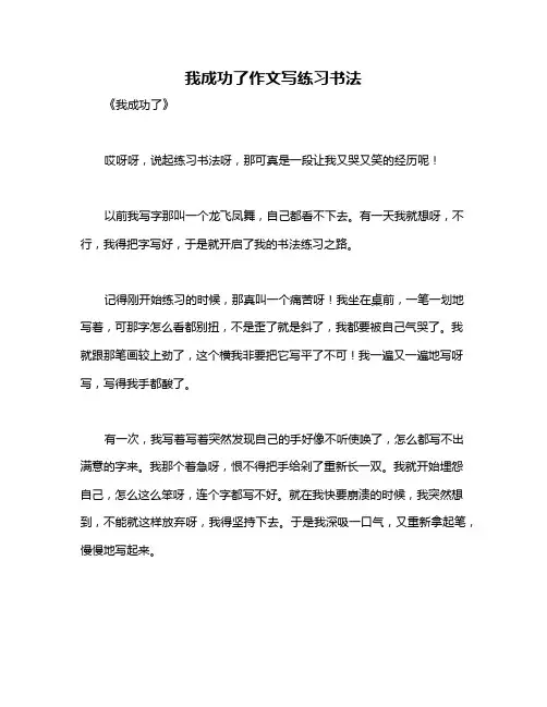 我成功了作文写练习书法