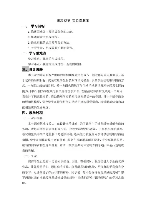 眼和视觉 教案