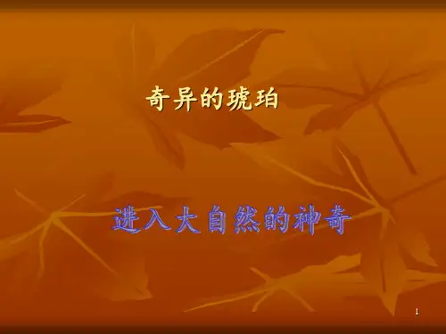 奇异的琥珀--课文