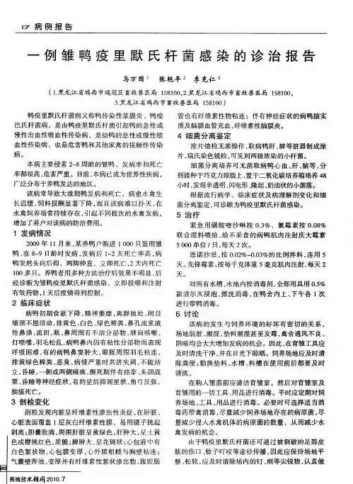 一例雏鸭疫里默氏杆菌感染的诊治报告