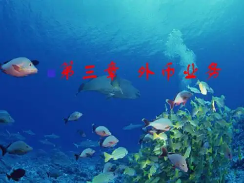 外币交易业务的会计处理与外币报表折算PPT课件( 27页)