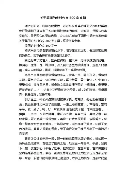 关于美丽的乡村作文800字6篇