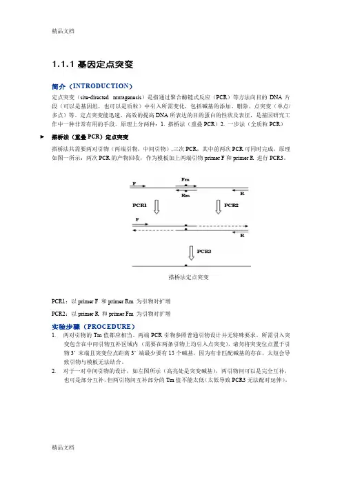 定点突变讲解学习