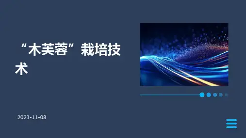 “木芙蓉”栽培技术