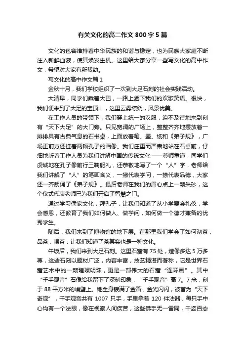有关文化的高二作文800字5篇