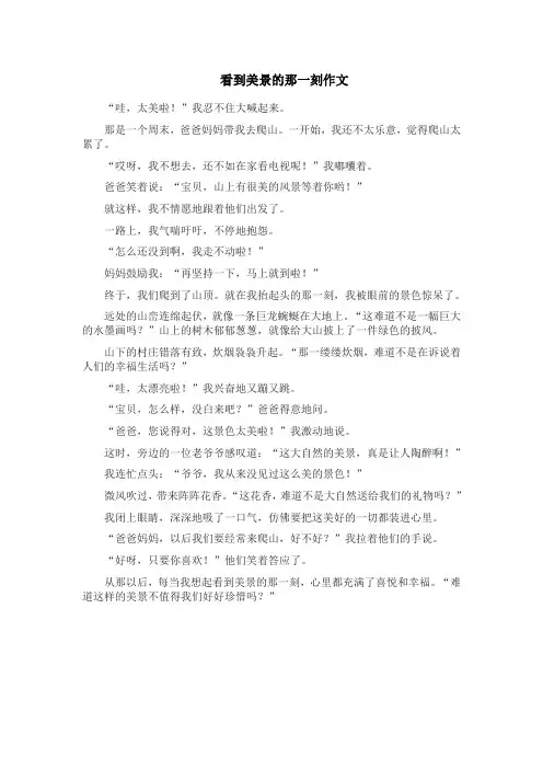 看到美景的那一刻作文
