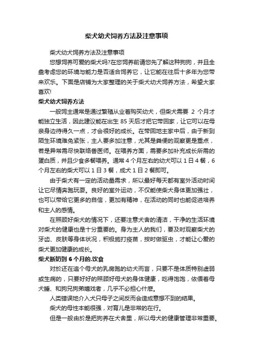 柴犬幼犬饲养方法及注意事项