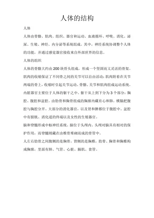 人体的结构