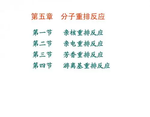 第五章_重排反应