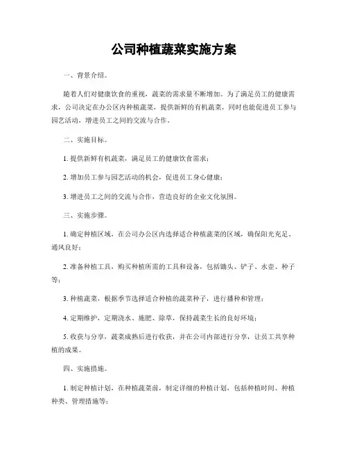 公司种植蔬菜实施方案