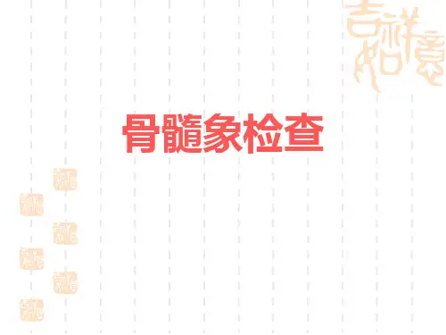 骨髓象检查