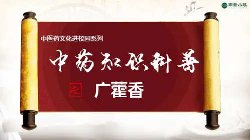 广藿香