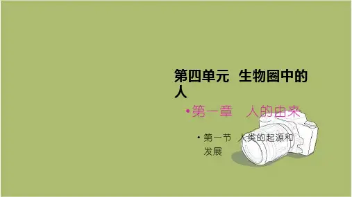 人教版七年级下册 第四单元生物圈中的人第一章人的由来第一节人的起源和发展课件