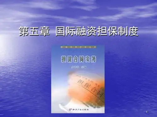 第五章-国际融资担保制度PPT课件