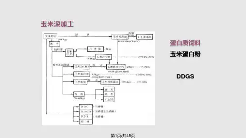 蛋白质饲料PPT课件