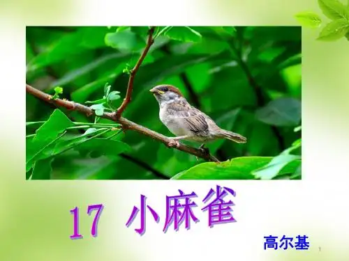 2019秋新部编版四年级语文上册第17课 《麻雀》PPT公开课课件