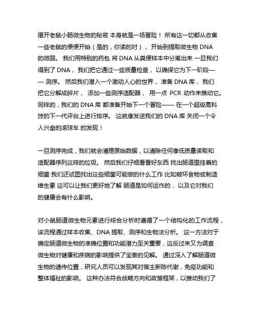小鼠肠道微生物宏基因组分析流程