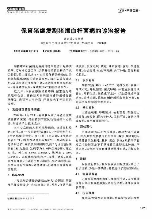 保育猪继发副猪嗜血杆菌病的诊治报告