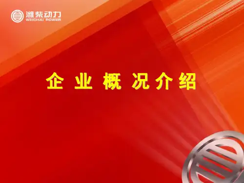 重庆潍柴情况简介
