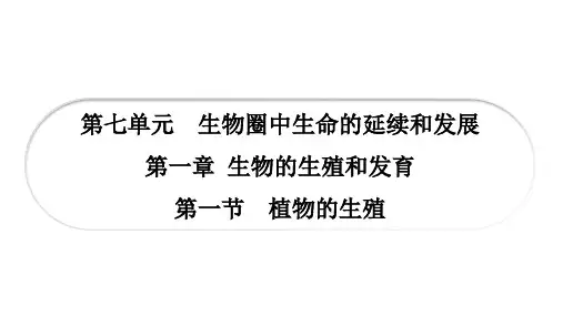 人教版八年级生物下册第七单元第一章生物的生殖和发育PPT复习课件