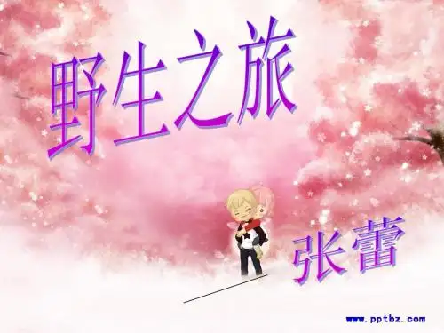 肯尼亚