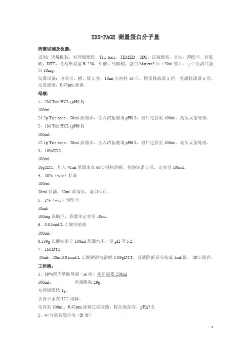 SDS-PAGE电泳
