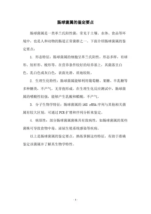 肠球菌属的鉴定要点